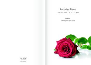 Stor rose på programheftet tilbys av Jølstad