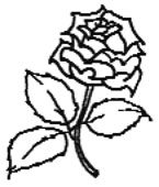 Blomstersymbol fra Jølstad