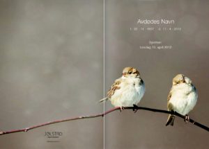 To spurver på programhefte fra Jølstad